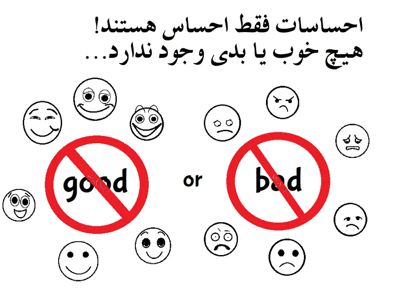 انواع سواد کدامند؟