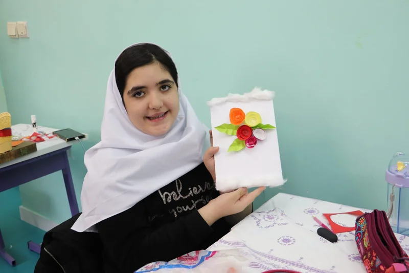 مجتمع آموزشی غیردولتی نگرش آرمانی