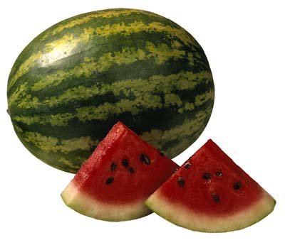 میوه های لاغر کننده