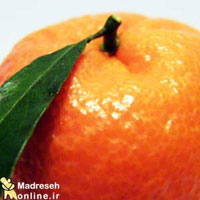 نارنگی, میوه, پاییز