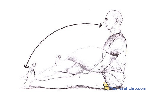 پیلاتس , آسیب , شانه , گردن