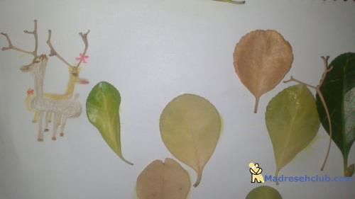 خلاقیت از نوع کاربردی