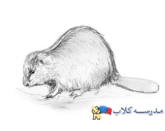 آموزش نقاشی سگ آبی