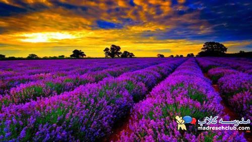 اطلاعات گرشگری قاره اروپا