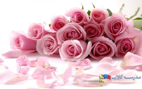 یادآوری نکته های مهم برای مامانای مهربون