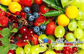 میوه تابستانی | میوه آرایی | میوه خشک