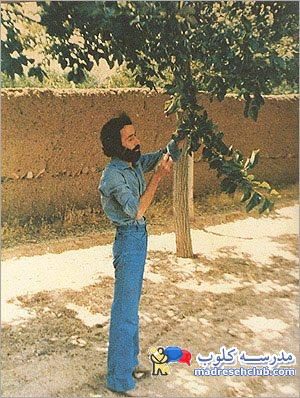اطلاعات گردشگری ایران / ایران گردی از شمال تا جنوب از غرب تا شرق ایران
