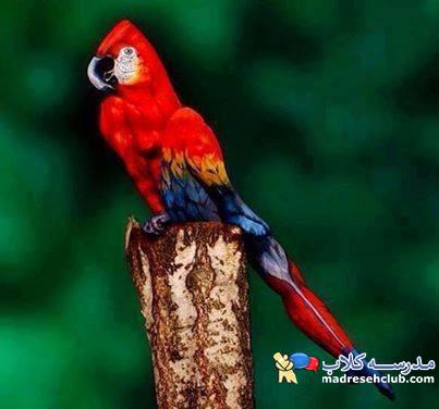 اصن خلاقیت به این میگن :))