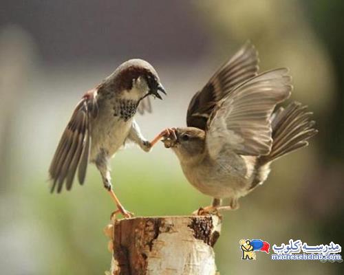 چهار روش برای دزدی انرژی