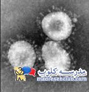 ویروس کرونا