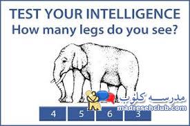تست هوش