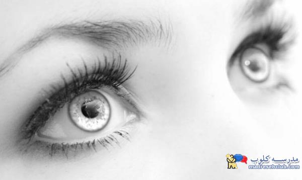 آیا می دانستید........؟