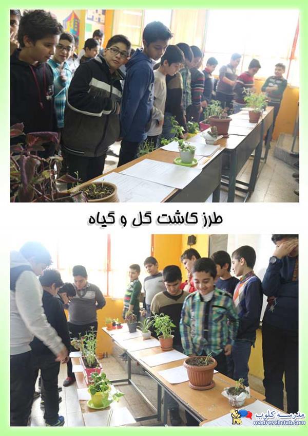 مجتمع آموزشی فرهنگ