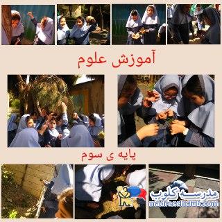 پیش دبستان و دبستان دخترانه شهرزاد نواندیش -اشرفی اصفهانی -ابتدایی غیر دولتی (غیرانتفاعی) -منطقه 5 تهران