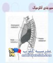 پاورپوینت در مورد بیماریهای مدیاستن