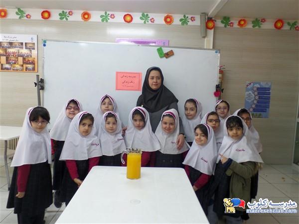 پیش دبستان و دبستان نیکا - منطقه 7 - سهروردی