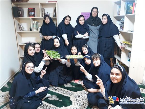 پیش دبستان و دبستان نیکا - منطقه 7 - سهروردی