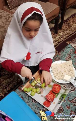 پیش دبستان و دبستان نیکا - منطقه 7 - سهروردی