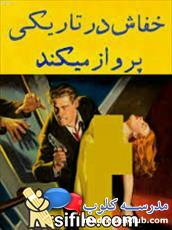 دانلود کتاب خفاش در تاریکی پرواز می کند اثر محمد تهرانی