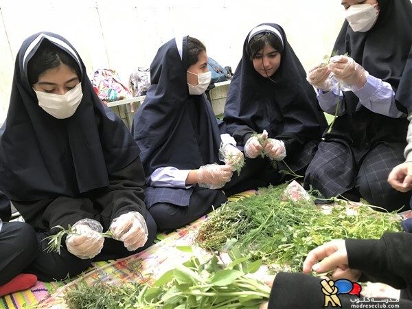 پیش دبستان و دبستان نیکا - منطقه 7 - سهروردی