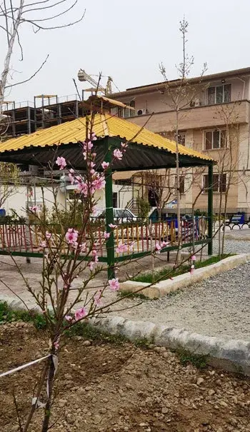 مدرسه صدرا نوین، حیاط پیش دبستان و دبستان دخترانه غیردولتی صدرا منطقه 5