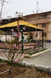 صدرا نوین