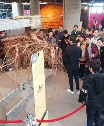 مدرسه بهان، عکس  اردوهای علمی و تفریحی دانش آموزان دبیرستان دوره اول بهان منطقه 5