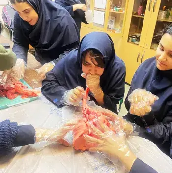 مدرسه علامه طباطبایی واحد یوسف آباد، با نگاهی متفاوت می پردازیم به اعضایی از دانش آموزان که در پی تحقیقات علمی در آزمایشگاه از آن استفاده می کنند: