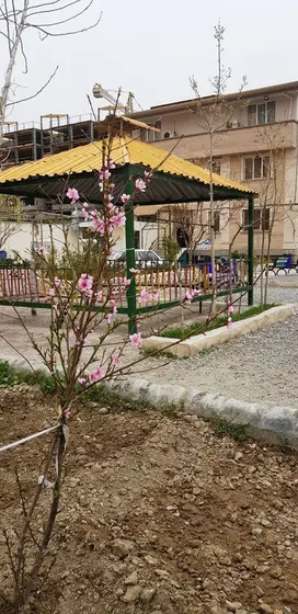 مدرسه صدرا نوین، حیاط بزرگ و زیبای دبستان دخترانه صدرا 