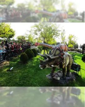 مدرسه حکمت نوین، اردوهای تفریحی جهت ایجاد روحیه برای دانش آموزان دبستان حکمت نوین