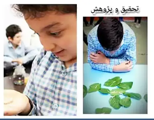 مدرسه ستارگان زمین، پرورش کرم ابریشم: تجربه‌ای آموزشی و جذاب در دبستان ستارگان زمین